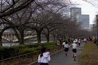 【アーカイブ】大阪市内の小学生たち