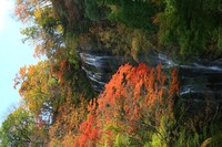 瀑布の紅葉　１