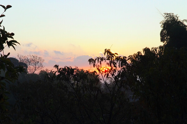 日の出と朝霧