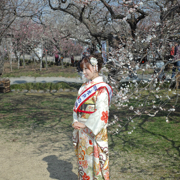 水戸の梅大使