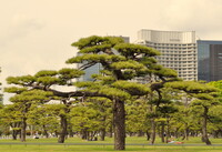 二重橋前交差点からの風景