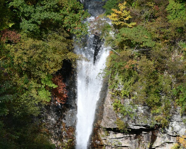 平成の森駒止の滝