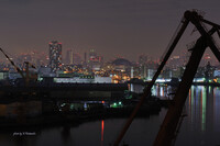 キリンさんと大阪夜景
