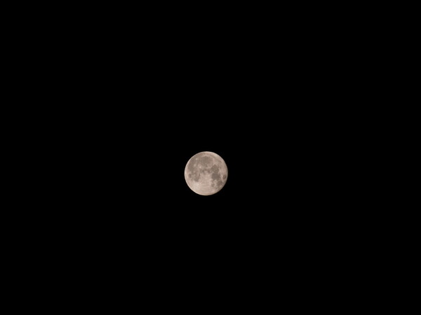 思いつきで月を撮ってみた