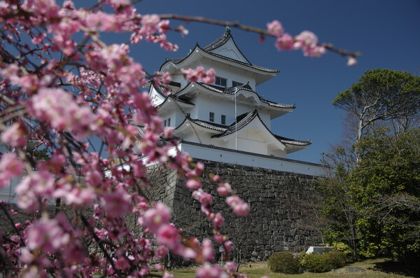 春色と上野城