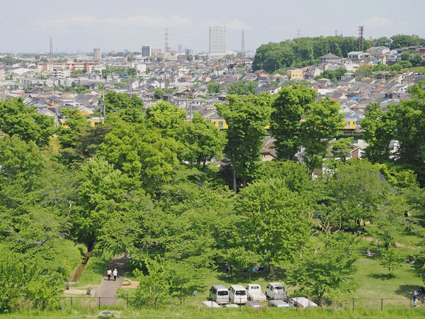 ホールインワン！