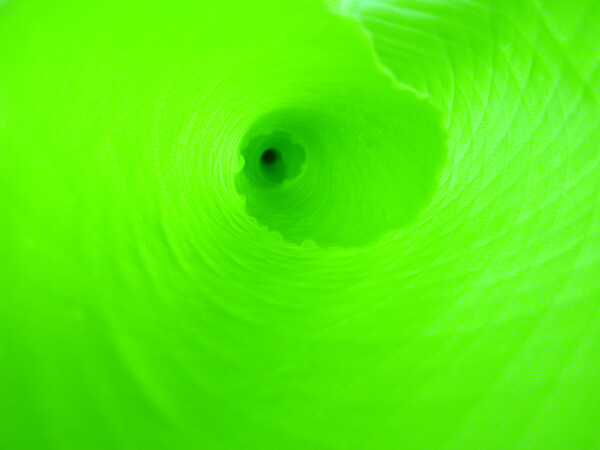 緑のトンネル。