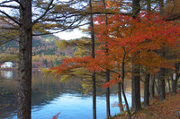 榛名湖の紅葉