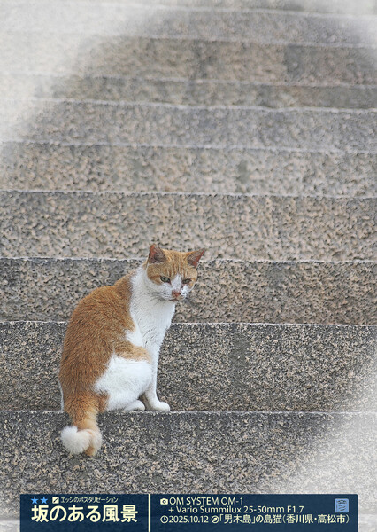 坂のある風景