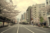 日曜日早朝の風景