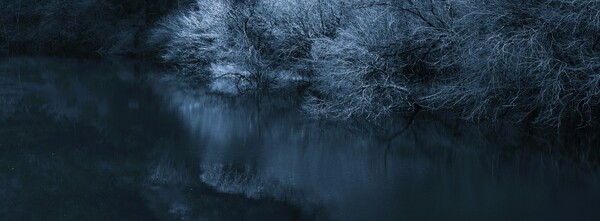 bluemoment