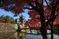 松本城と秋の西日