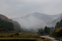 結構な雨降りに・・。