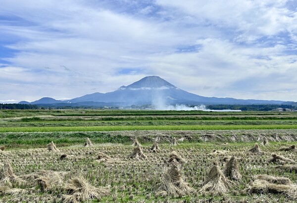 秋の大山