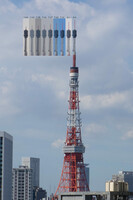 定点東京タワー