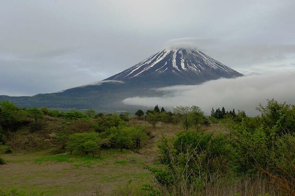朝霧高原からの富士