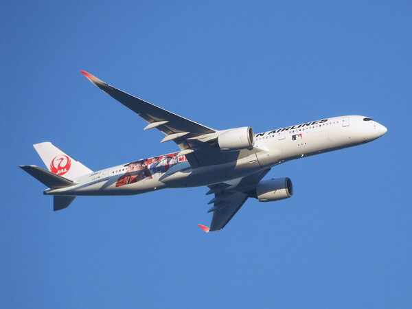 JAL 大谷翔平 Dream SHO JET JA08XJ