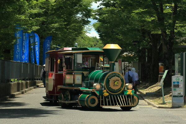 万博記念公園にて
