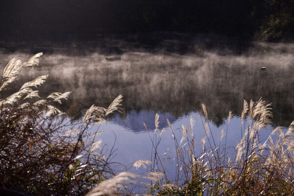 静かな朝～精進湖～