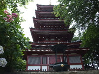 本土寺　五重塔