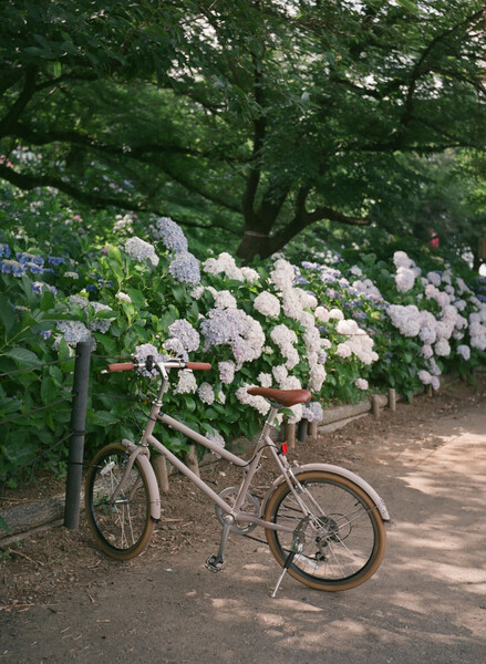 あてずっぽー露出で撮るネガfilm撮影