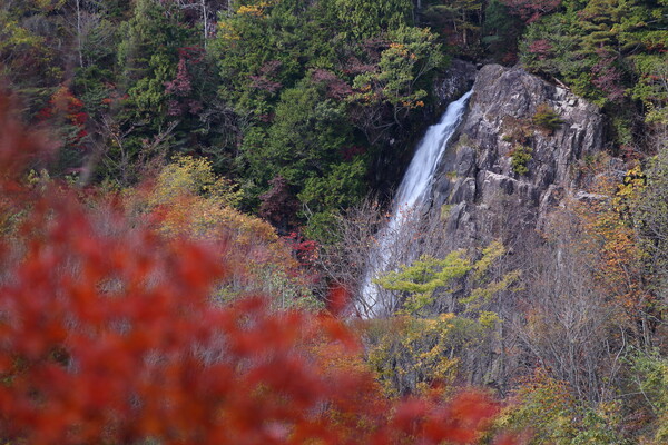 秋色の大倉滝