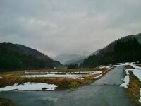 今朝の鳥取県兵庫県境のお山