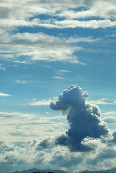 ゴジラ雲