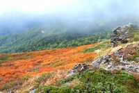 秋一番　三石山の紅葉