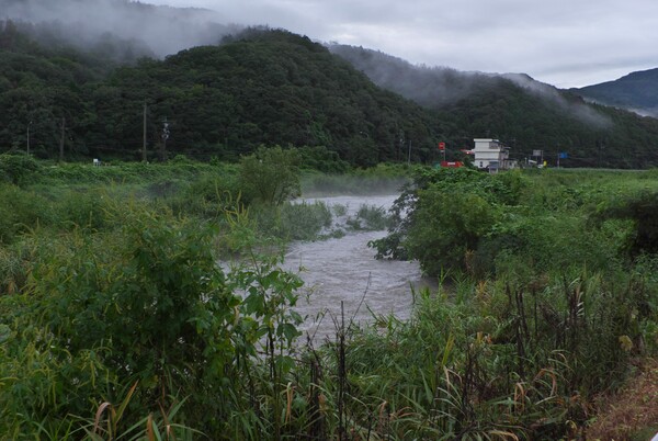 台風一過の蒲生川