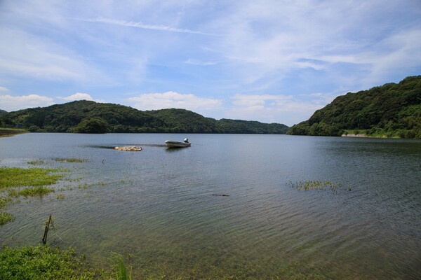 ウシガエル鳴く小野湖