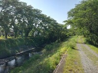 新緑と砂利道と川の景色