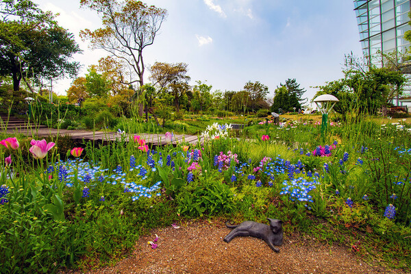 【花のある風景】ブルーボネット③