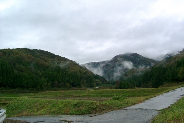 【秋】鳥取、兵庫県境の山が紅葉