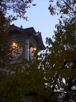 【絵のような】夕暮れの葉と時計
