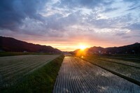 雲が多い夕焼・・。