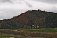 真名焼き周辺の紅葉。