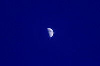 【花・空のある写真】半月