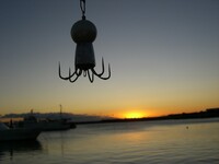 日の出と蛸釣りの餌