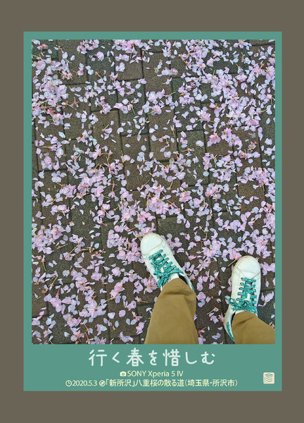 行く春を惜しむ(枠仕立てVer.)