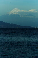 海越しの富士