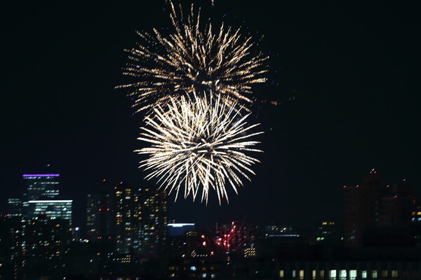 夏の夜の華