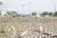 田舎の風景（２