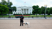 Secret Service Police Dog