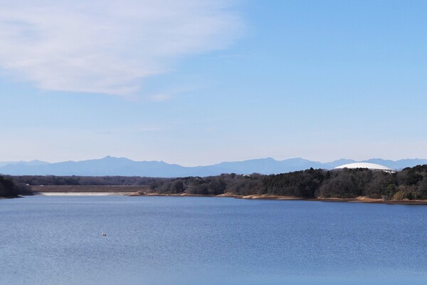 東村山から見える東京都の山