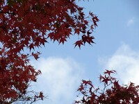 青空の【秋】