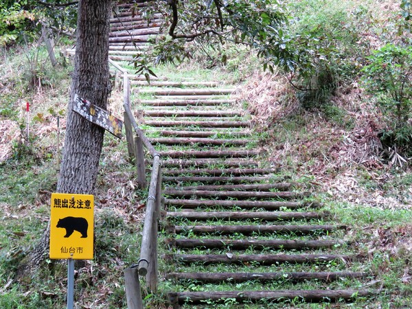 熊さんへの階段