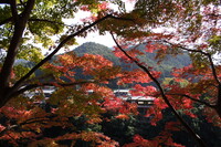 永源寺