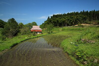 廃屋の風景～山口市