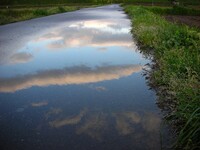 雨上がり